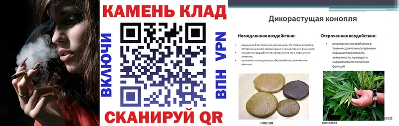 ГАШ гарик где найти наркотики ОМГ ОМГ Дрезна