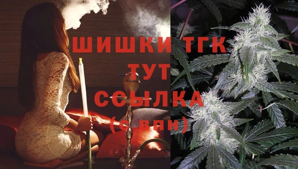 ешки Алзамай