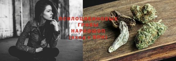 ГАЛЛЮЦИНОГЕННЫЕ ГРИБЫ Алексин