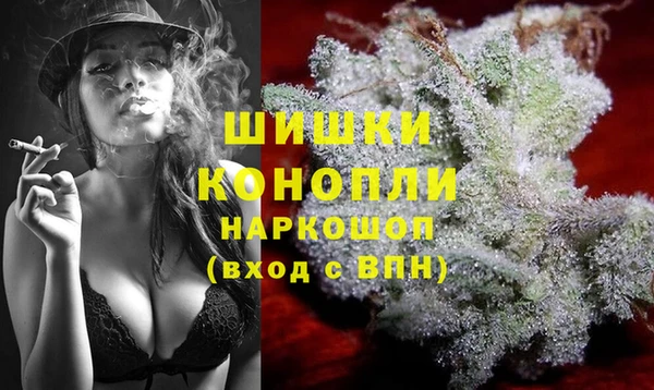 ГАЛЛЮЦИНОГЕННЫЕ ГРИБЫ Алексин
