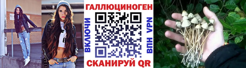 Галлюциногенные грибы Psilocybe  Дрезна 
