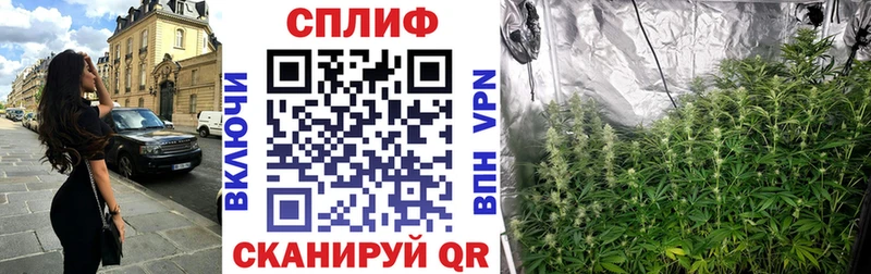 Канабис Bruce Banner  что такое   Дрезна 